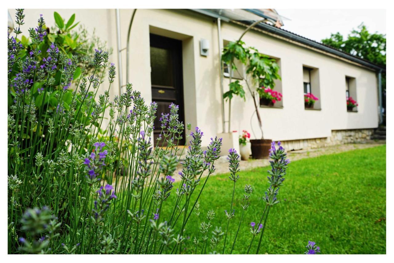 Ingrid'S Guesthouse Spittal Spittal an der Drau Extérieur photo